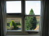 Bedroom Window